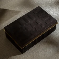 Ex Forti Scatola marrone Asat