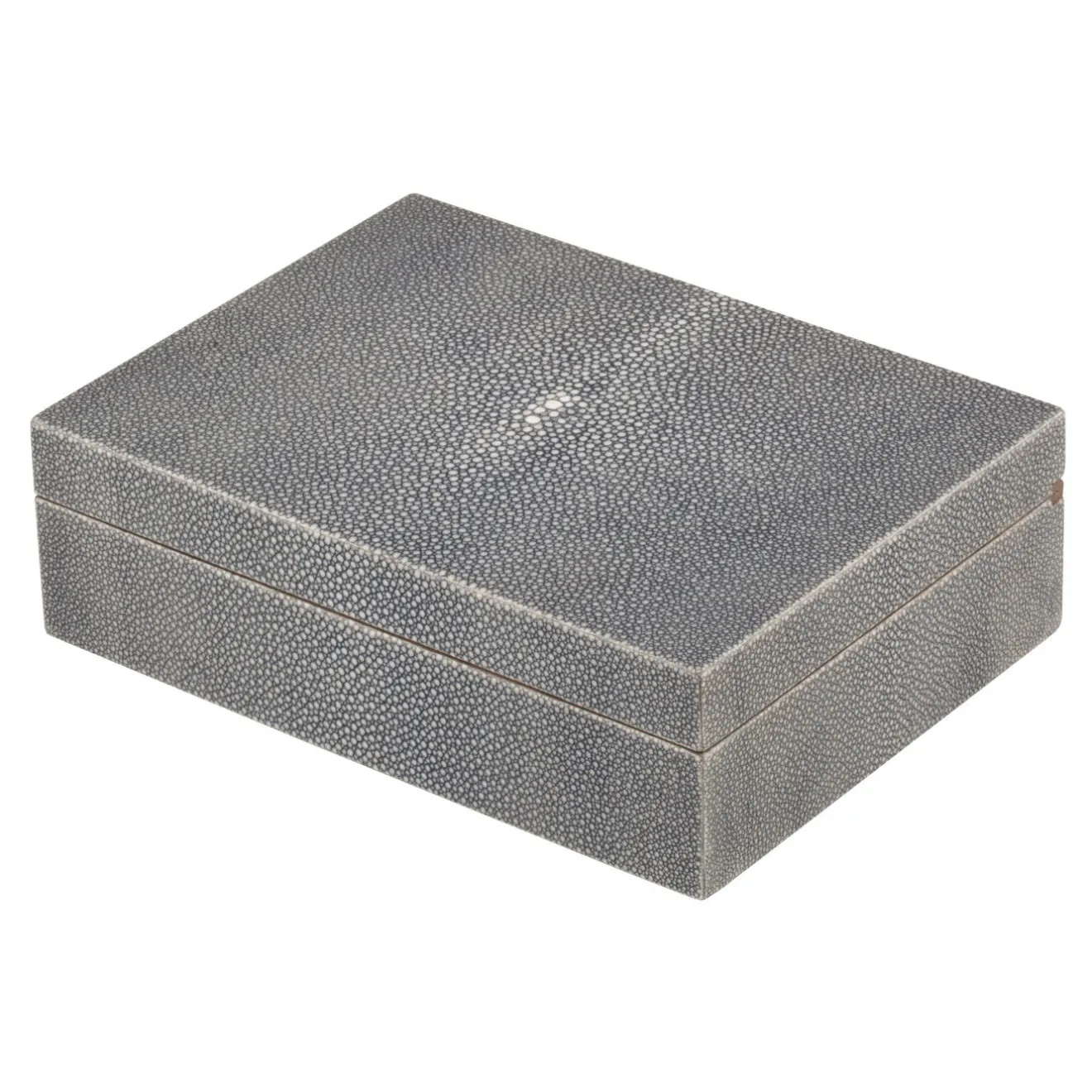 Giobagnara Scatola per orologi in pelle Frank Shagreen