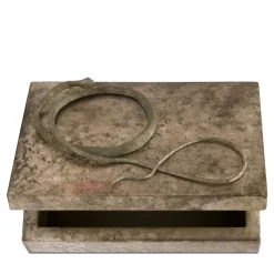 Mario Bottiglieri Scatola Piccola Serpens