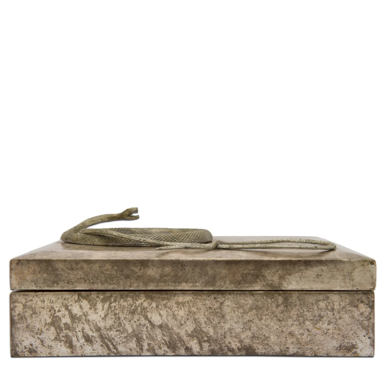 Mario Bottiglieri Scatola Piccola Serpens