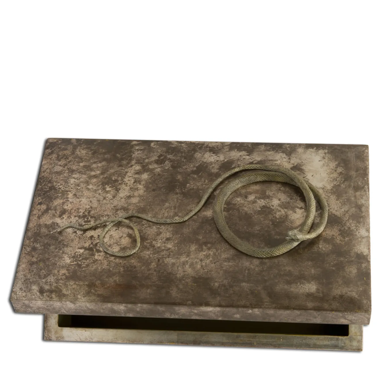 Mario Bottiglieri Scatola Piccola Serpens
