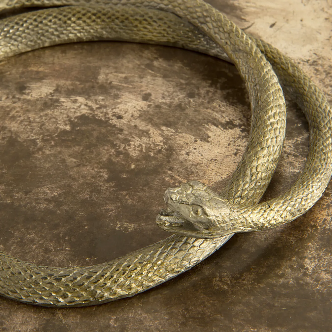 Mario Bottiglieri Scatola Piccola Serpens