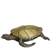 Molto Collectibles Scatola Tartaruga in Ottone