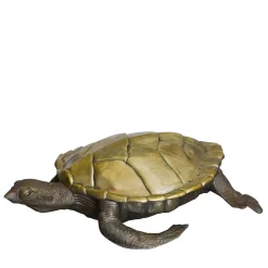Molto Collectibles Scatola Tartaruga in Ottone