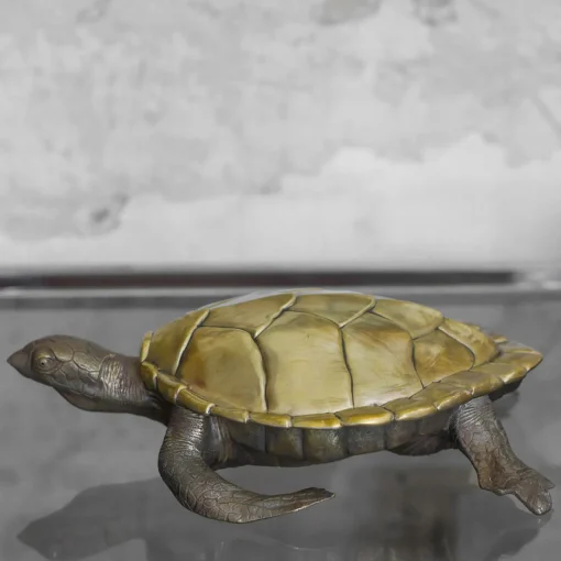 Molto Collectibles Scatola Tartaruga in Ottone