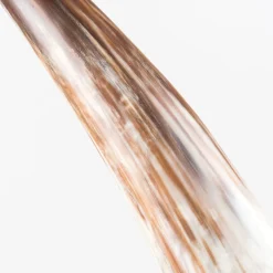 Selezioni Domus Scultura Decorativa in Corno di Bufalo