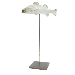 Amaaro Scultura di spigola sottile