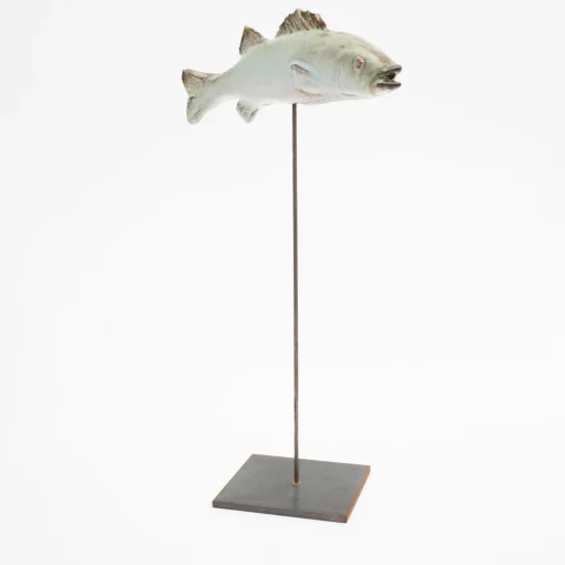 Amaaro Scultura di spigola sottile