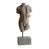Todini Sculture Scultura di torso maschile drappeggiato