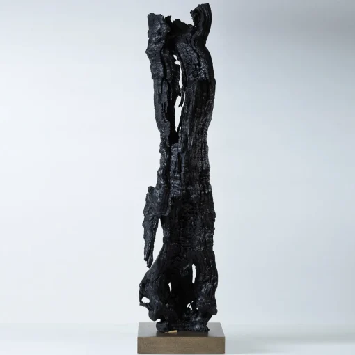 Omnibus Design Scultura nera Per Mulieres III