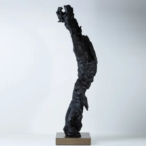 Omnibus Design Scultura nera Per Mulieres III