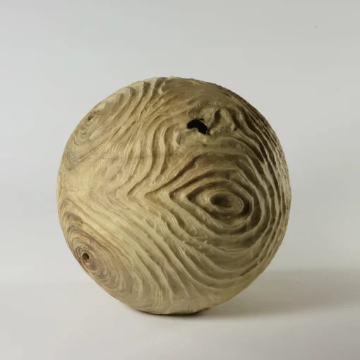 Nicola Tessari Scultura sferica di locuste nere di forma cava Impossiballs