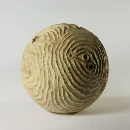 Nicola Tessari Scultura sferica di locuste nere di forma cava Impossiballs