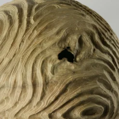 Nicola Tessari Scultura sferica di locuste nere di forma cava Impossiballs