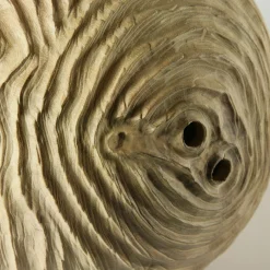 Nicola Tessari Scultura sferica di locuste nere di forma cava Impossiballs