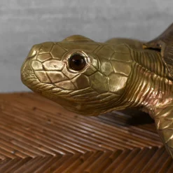 Molto Collectibles Scultura Tartaruga Grande in Ottone
