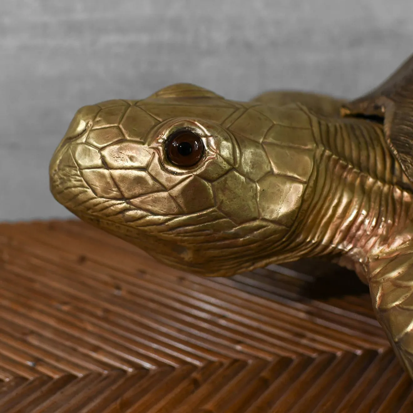 Molto Collectibles Scultura Tartaruga Grande in Ottone