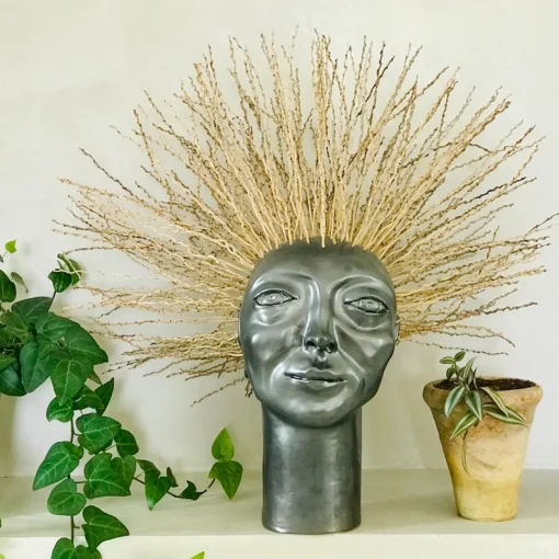 Freaklab Scultura Testa riccia
