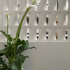 mg12 by Monica Geronimi Set di 15 Blocchi Brasilia in Gesso Bianco