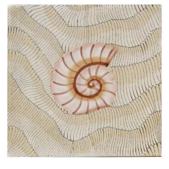 Giovanni De Maio Set di 25 piastrelle Thalassa Avana Shell #D