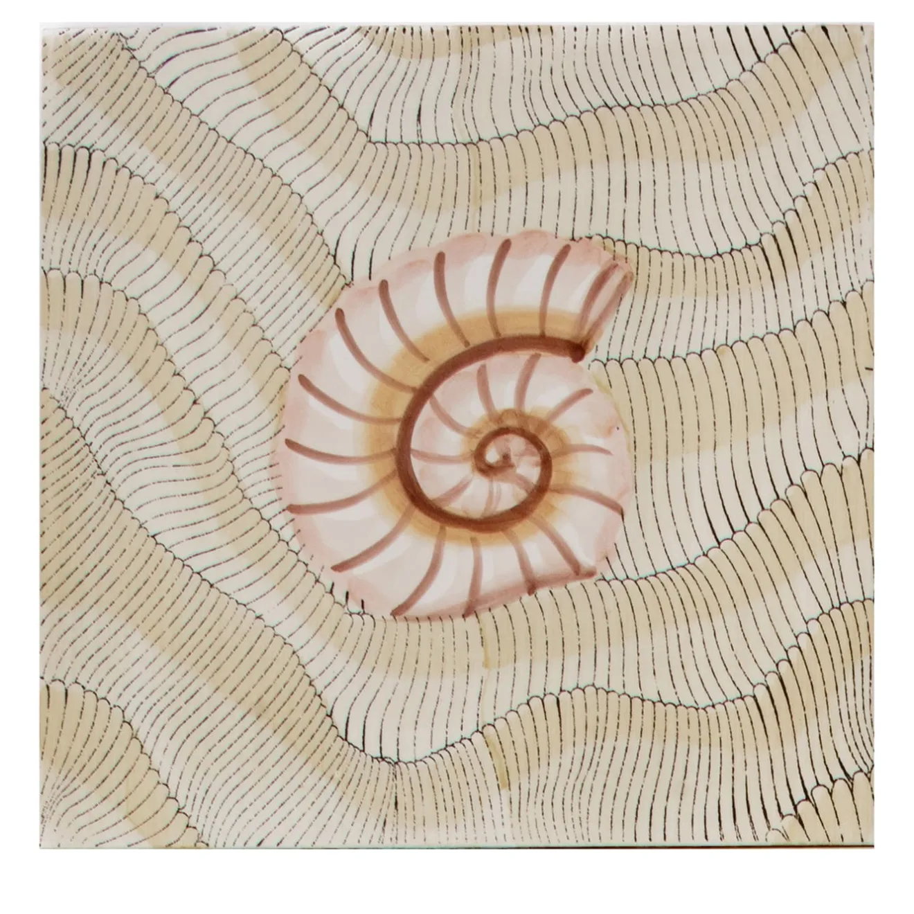 Giovanni De Maio Set di 25 piastrelle Thalassa Avana Shell #D