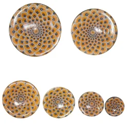 La Bottega del Vasaio Set di 6 piatti decorativi con piume di pavone giallo