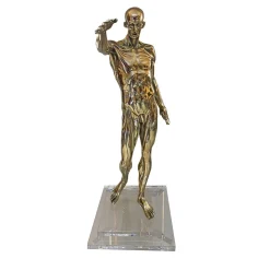 Fonderia Artistica Ruocco Statuetta Anatomia in ottone