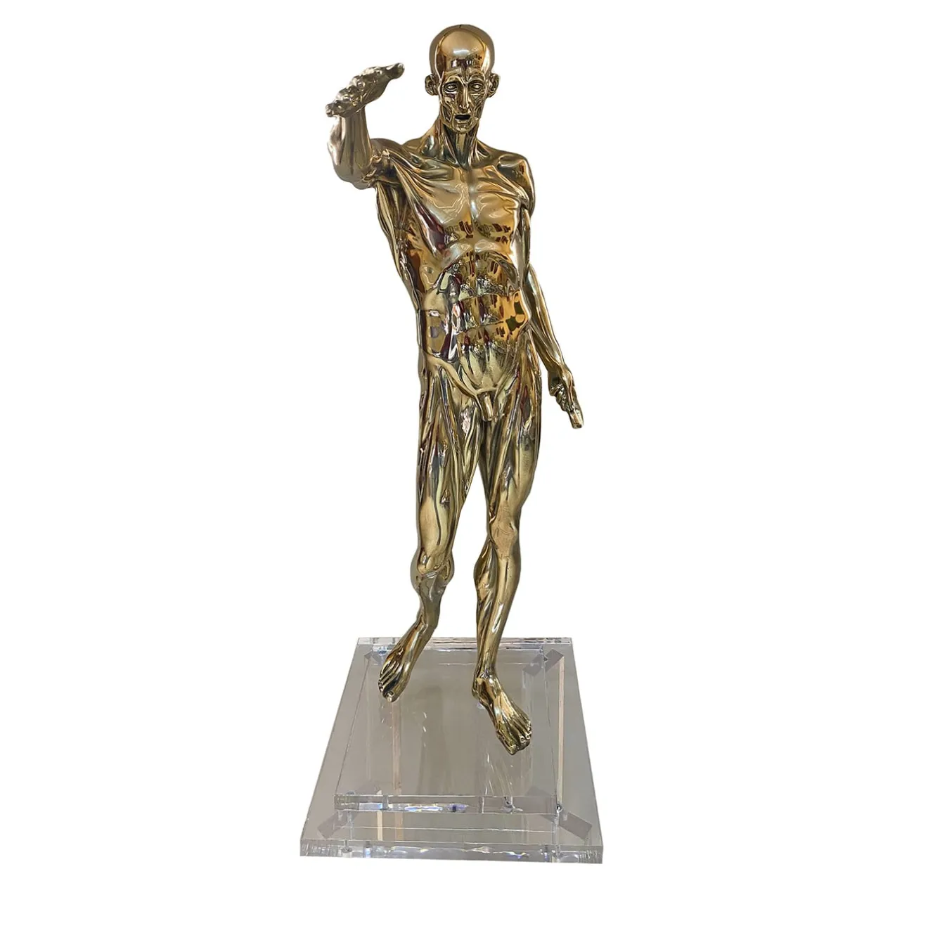 Fonderia Artistica Ruocco Statuetta Anatomia in ottone