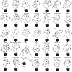 Profilo Statuetta di Pomerania