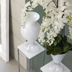 VGnewtrend Vaso Ann White