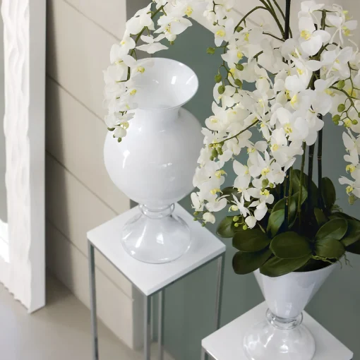 VGnewtrend Vaso Ann White