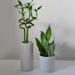 Lineasette Vaso Aura grande