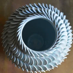 Claudia Frignani Vaso Calandrinia