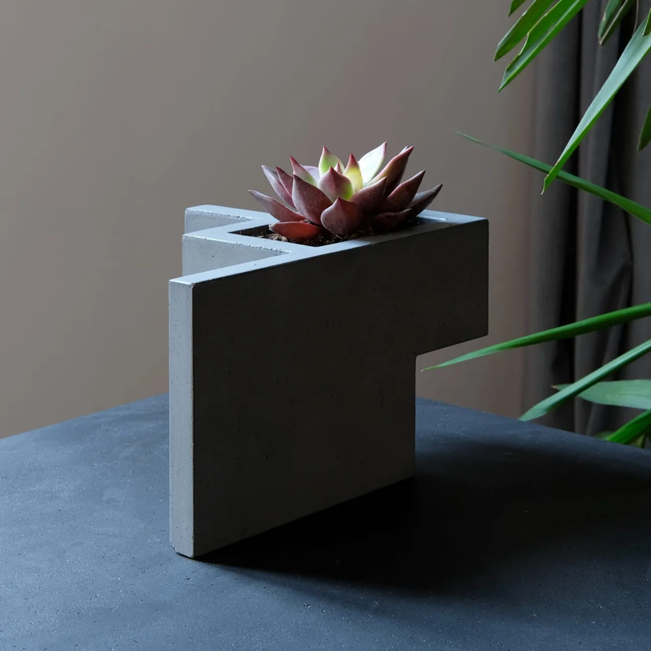 Paolo Giordano Vaso Chandigarh II