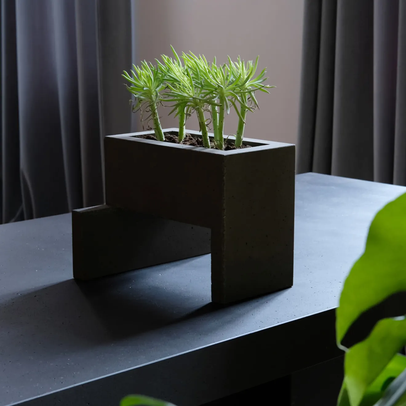 Paolo Giordano Vaso Chandigarh III