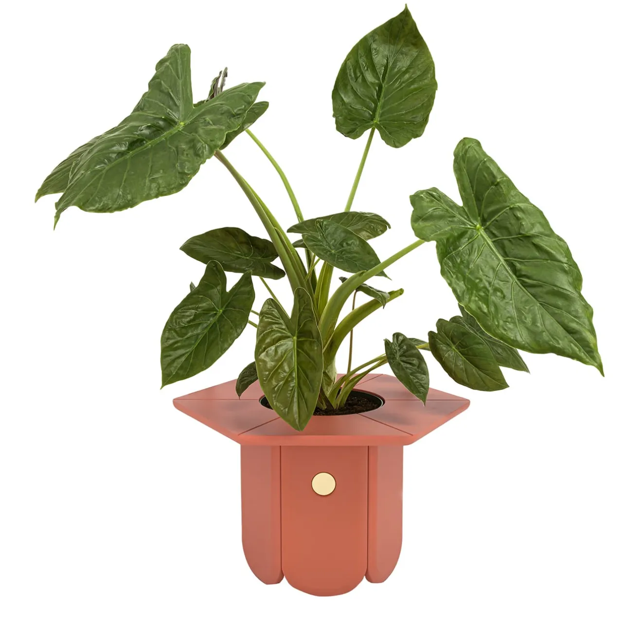 Scapin Collezioni Vaso Ci