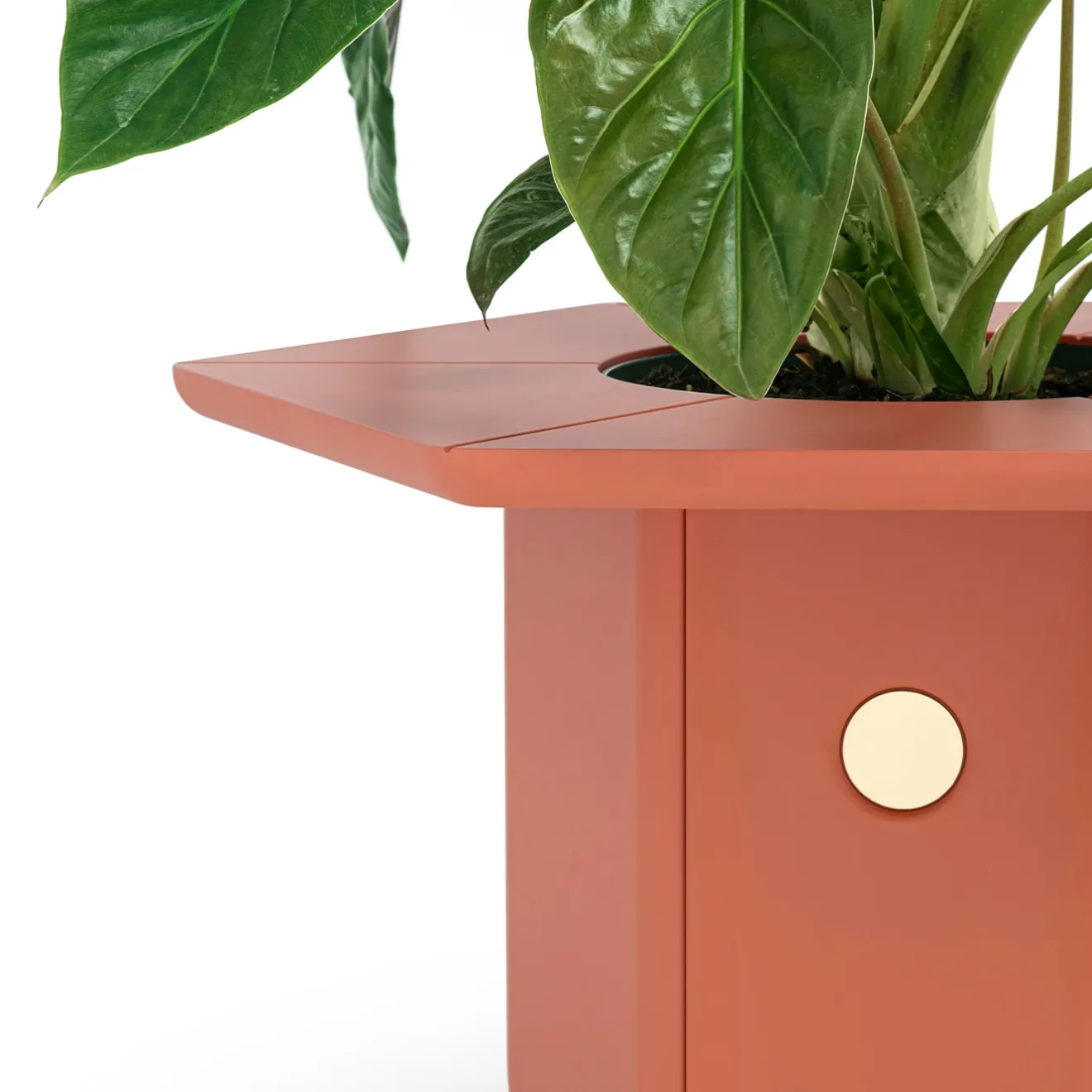 Scapin Collezioni Vaso Ci