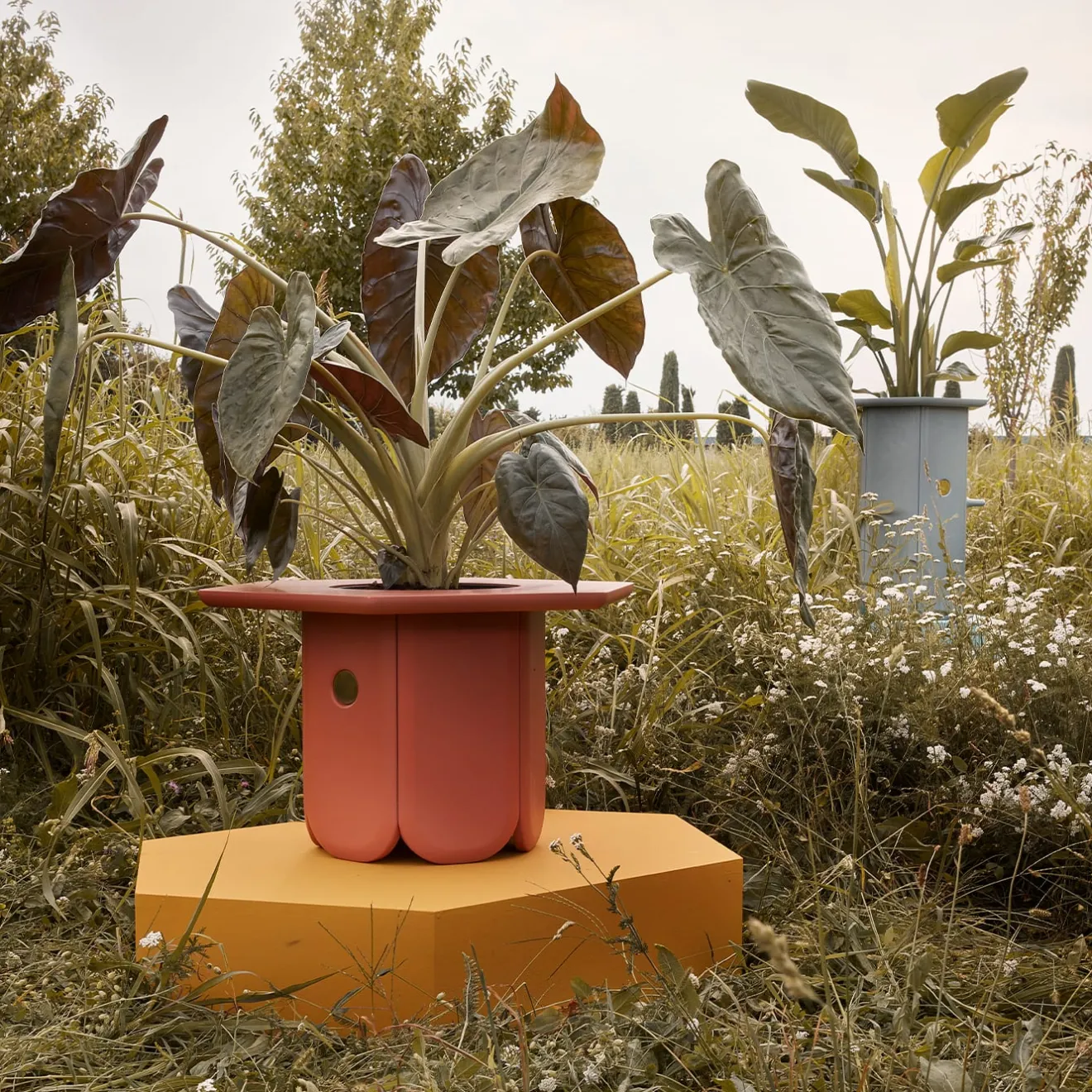 Scapin Collezioni Vaso Ci