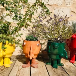 Freaklab Vaso da fiori medio in terracotta Walking Head