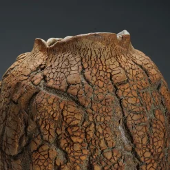 Terry Davies Vaso Decorativo Tuscany Seed Pod