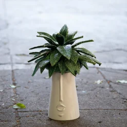 Patrizia Italiano Vaso medio La Palma con coperchio