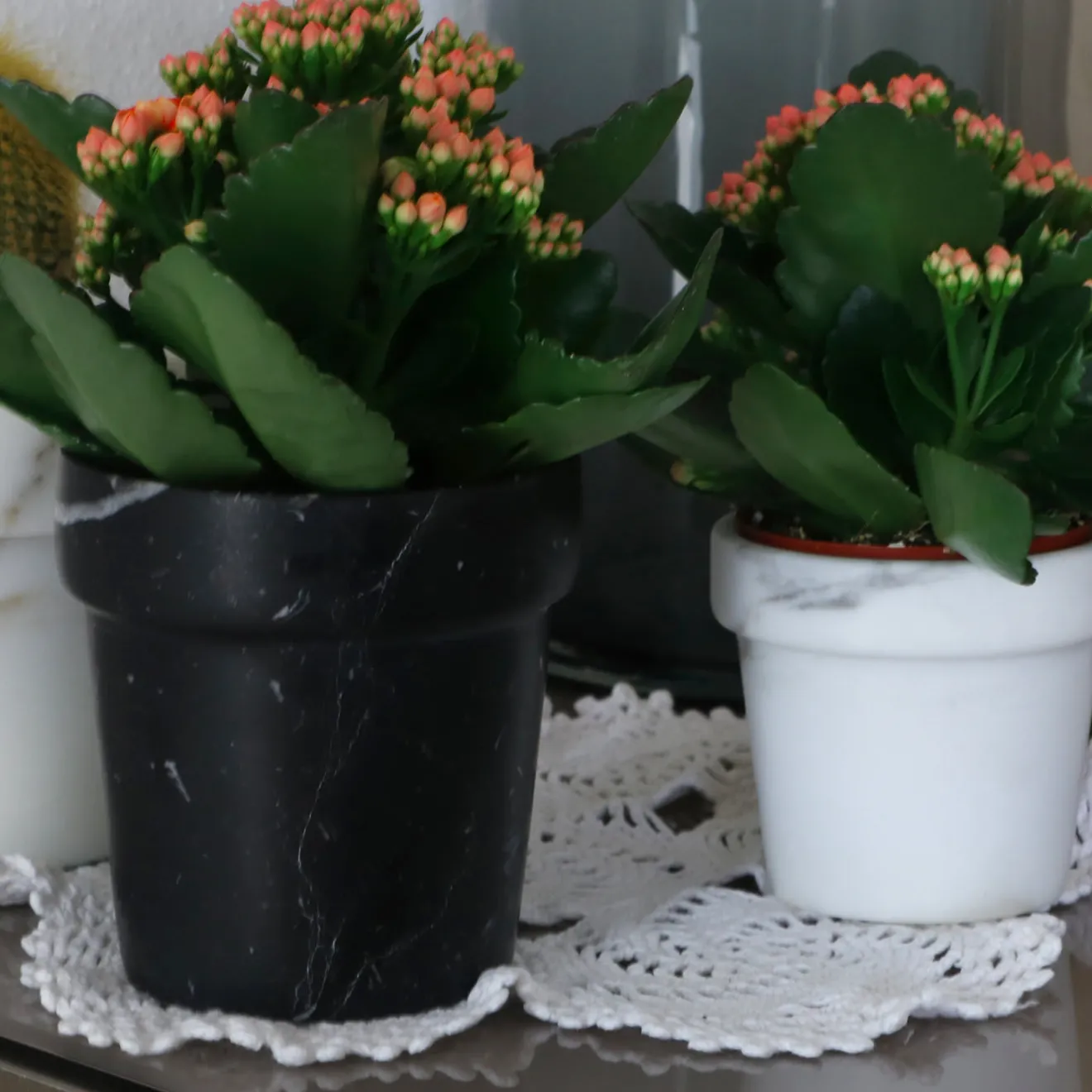 Carrara Home Design Vaso per mini cactus in marmo bianco di Calcutta