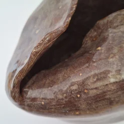 Cristina Cavallari Vaso Petalo 2 in Ceramica Marrone a Forma di Petalo