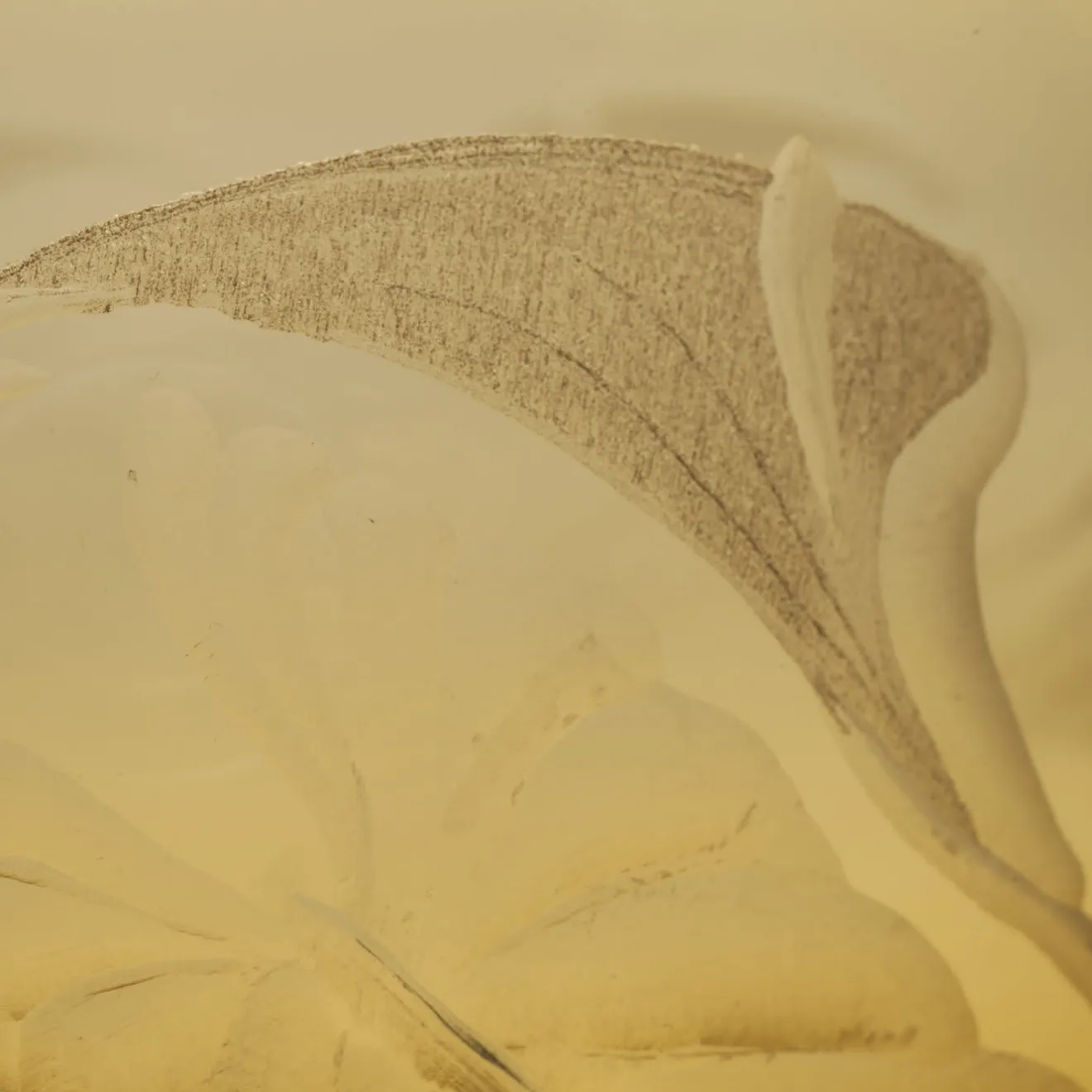 Vanessa Cavallaro Vaso sferico con gigli