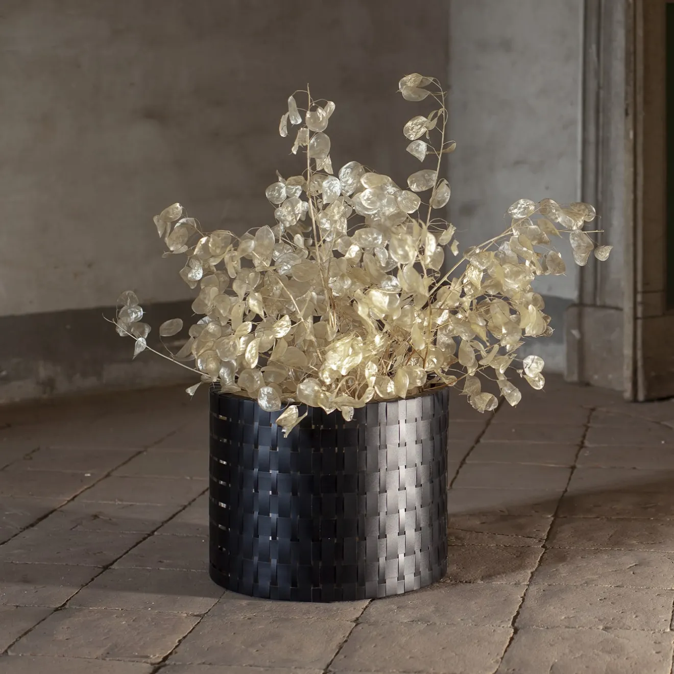 Splot Design Vitis Nero Abatellis Cachepot