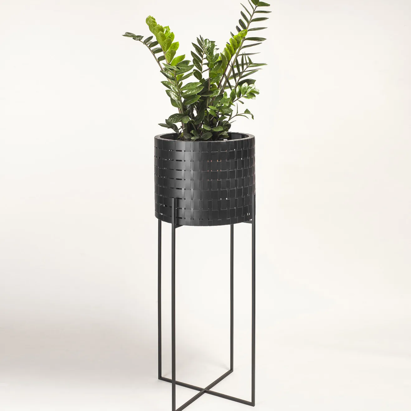 Splot Design Vitis Nexum Alto Nero Abatellis Cachepot